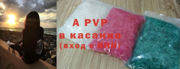 СК Елизово