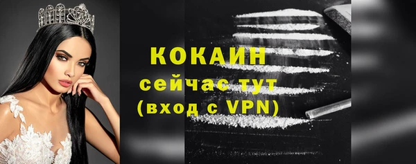 СК Елизово