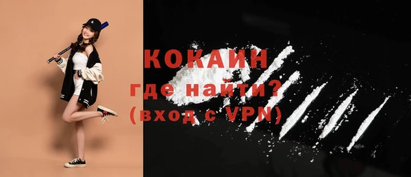 Альфа ПВП Ельня