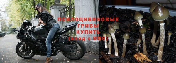 COCAINE Пролетарск