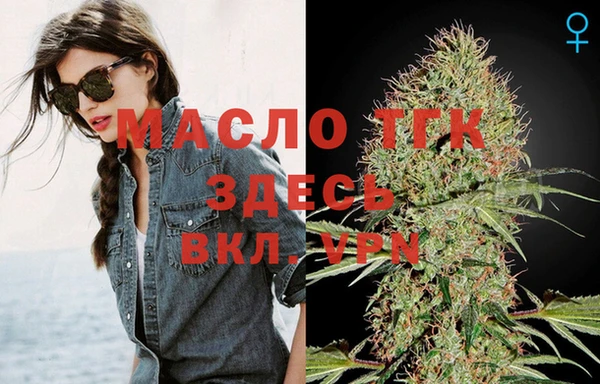 Альфа ПВП Ельня