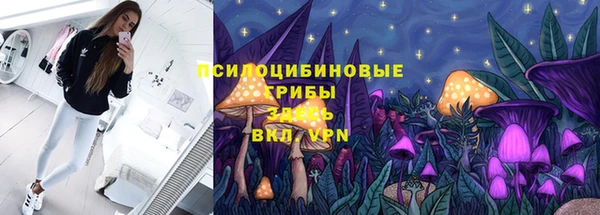 СК Елизово