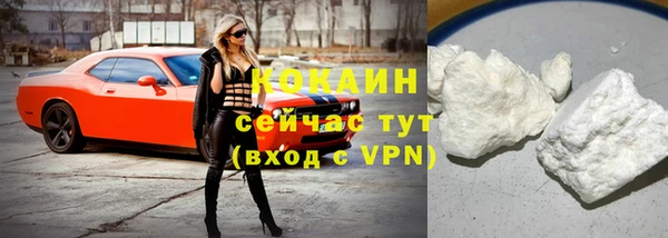 СК Елизово