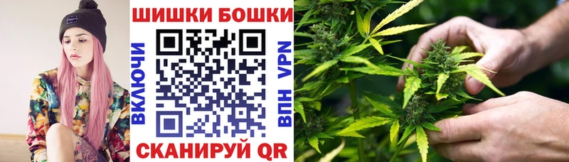 купить цена Мосальск Канабис Amnesia